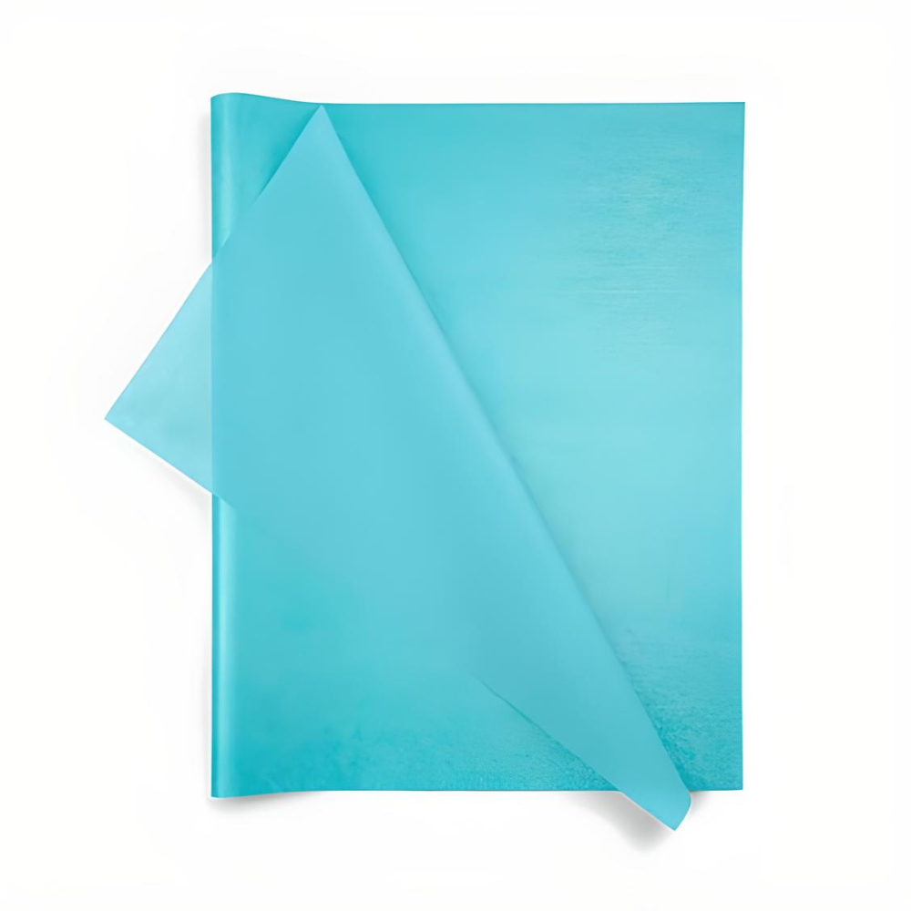 Seaman Paper  2030CY1001